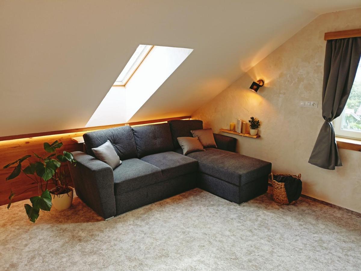 Apartman U Ovecku - Nová Paka エクステリア 写真