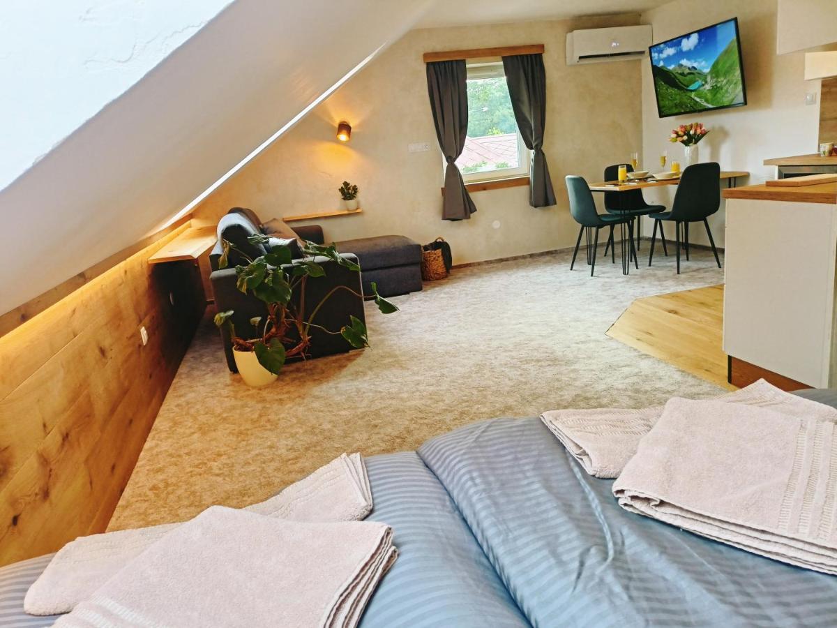 Apartman U Ovecku - Nová Paka エクステリア 写真