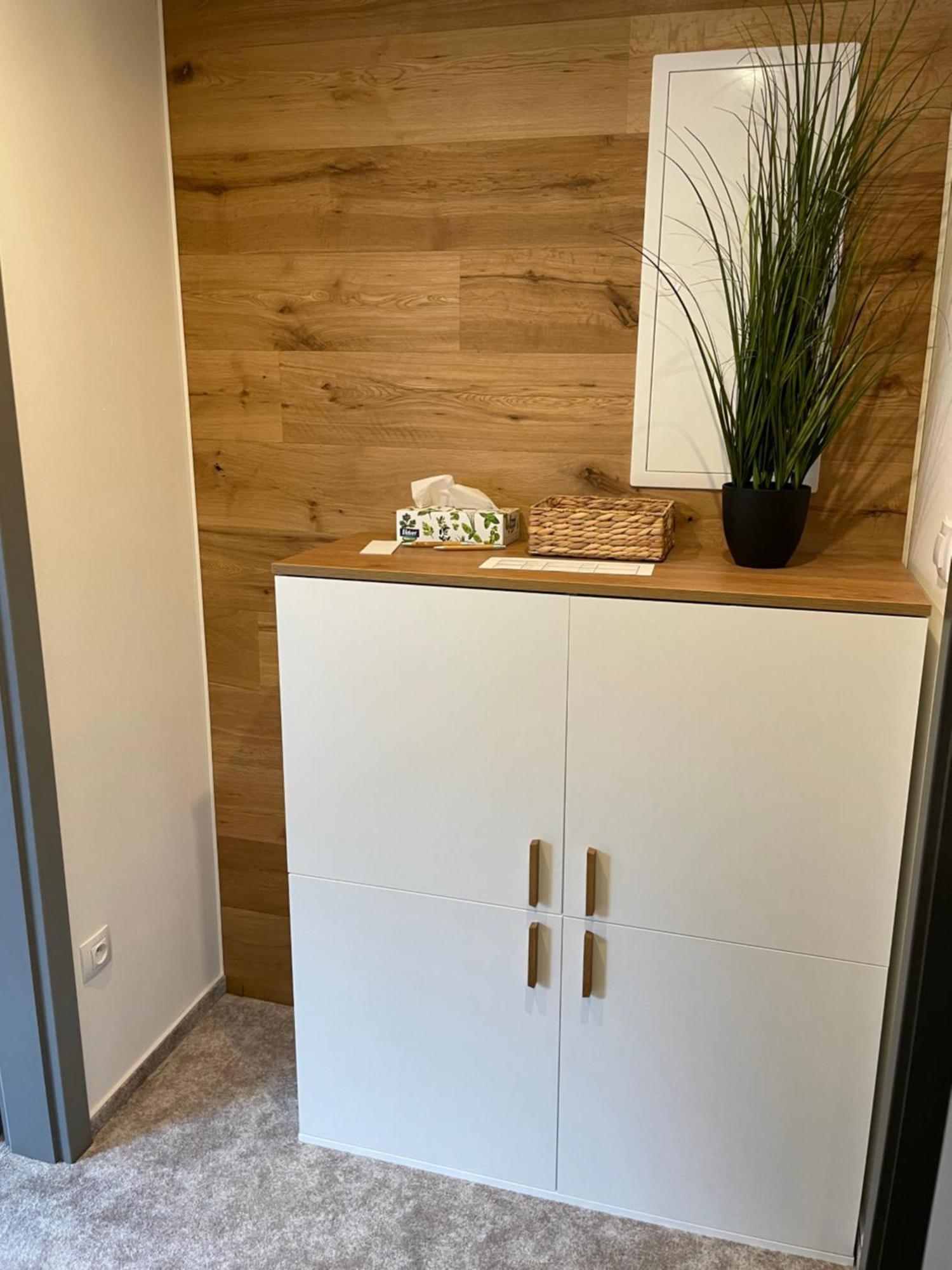 Apartman U Ovecku - Nová Paka エクステリア 写真